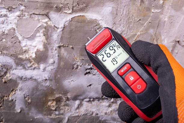 Best Residential Mold Removal  in Liberty, SC