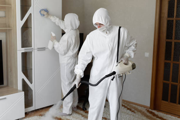 Mold Removal Process in Liberty, SC