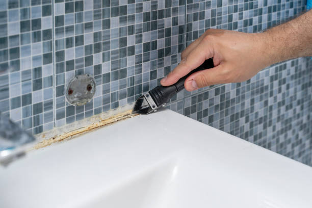 Best Emergency Mold Removal  in Liberty, SC