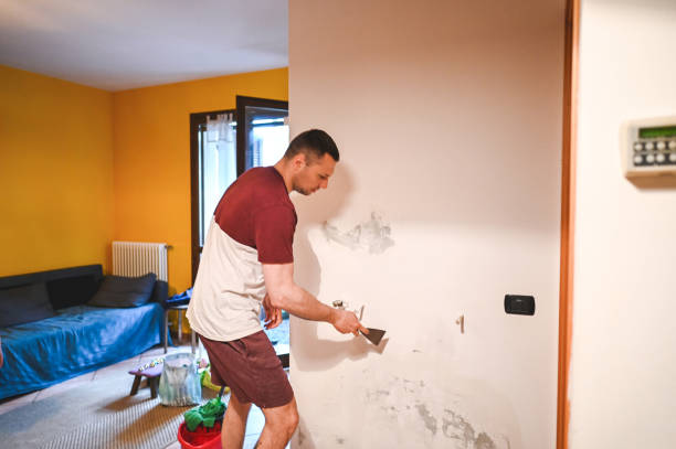 Best Black Mold Removal  in Liberty, SC