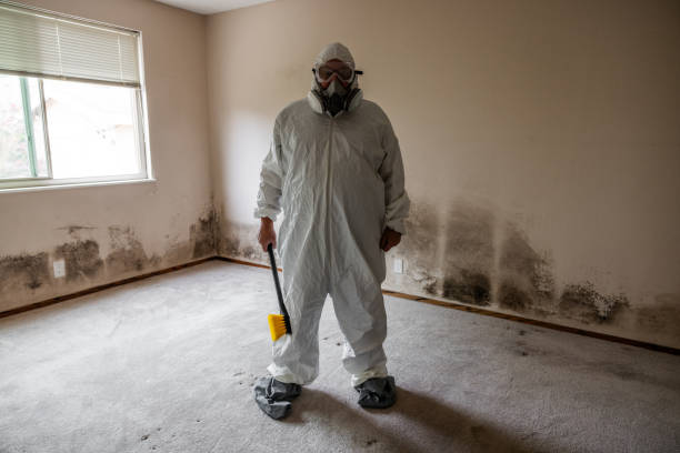 Professional Mold Removal in Liberty, SC